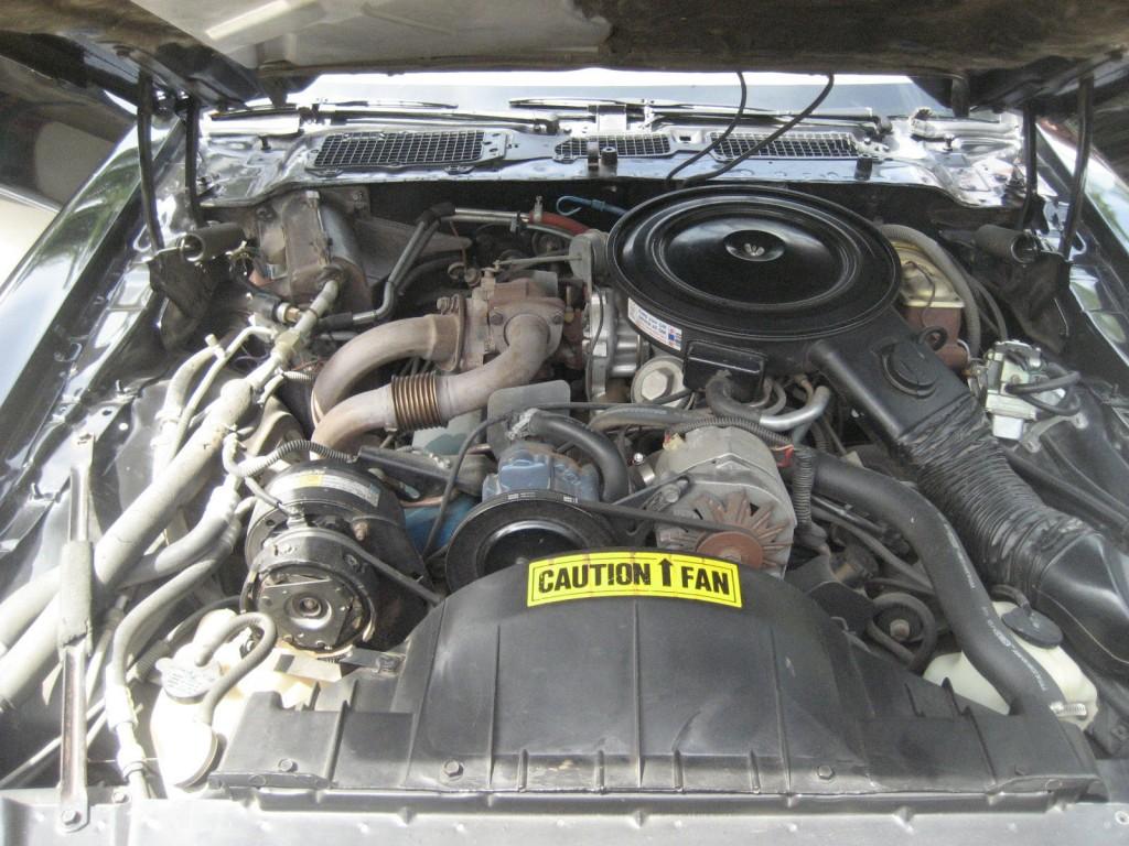 1980 Pontiac Trans Am Y84 Special Edition 4.9 Litre Turbo