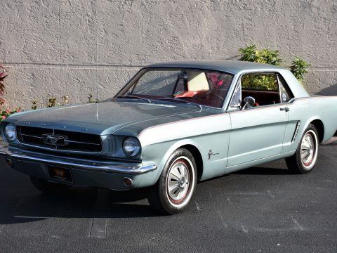 CHARMING 1965 Ford Mustang Deluxe for sale