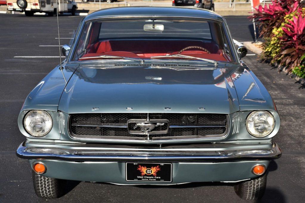 CHARMING 1965 Ford Mustang Deluxe